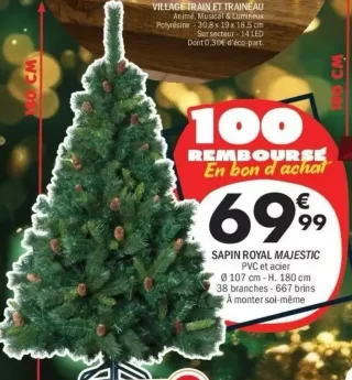 Sapin Royal Majestic