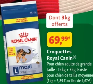 Croquettes Royal Canin pour chien adulte de grande taille