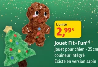 Jouet Fit+Fun Jouet pour chien