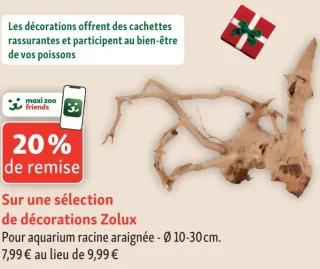 Décorations racine araignée Zolux