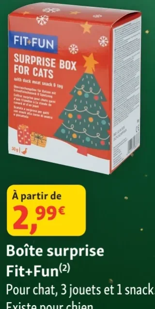 Boîte surprise Fit+Fun