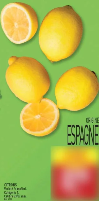 Citrons Variété Primofiori