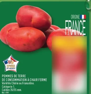 Pommes de terre de consommation à chair ferme Chérie ou Franceline