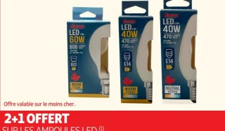 Ampoules LED Auchan