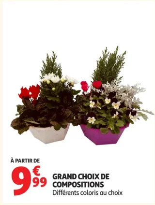Grand choix de compositions