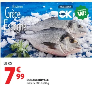 Dorade royale