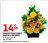 Promo Composition fleurie Dahlia & Orchidée