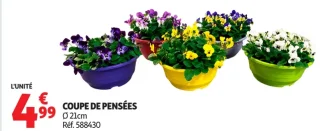 Coupe de pensées