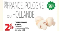 Champignons blancs