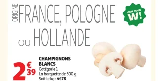 Champignons blancs