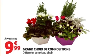 Grand choix de compositions