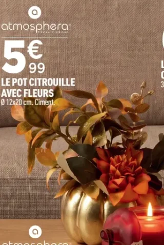 Le pot citrouille avec fleurs Atmosphera