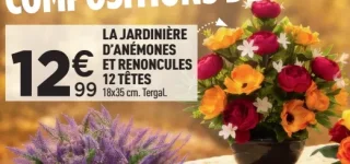 La jardinière d'anémones et renoncules 12 têtes