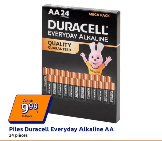 Piles Duracell Everyday Alkaline AA