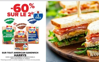 Pain de mie American Sandwich Harrys