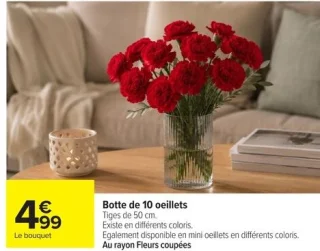 Botte de 10 oeillets