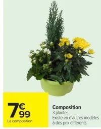 Composition 3 plantes