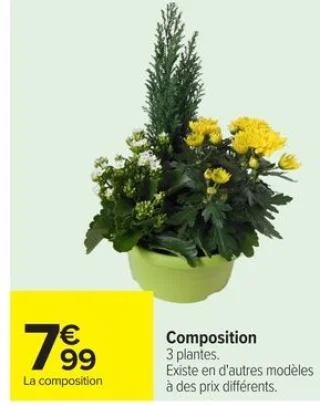 Composition 3 plantes