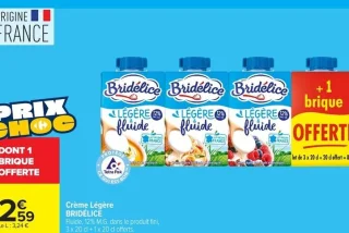 Crème Légère BRIDÉLICE