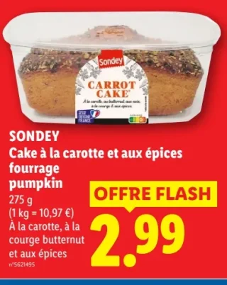 SONDEY Cake à la carotte et aux épices fourrage pumpkin