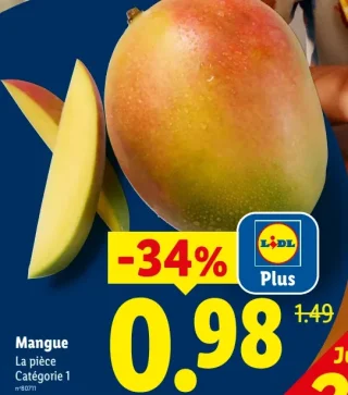 Mangue La pièce Catégorie 1
