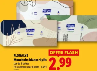 FLORALYS Mouchoirs blancs 4 plis