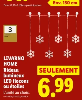 LIVARNO HOME Rideau lumineux LED flocons ou étoiles
