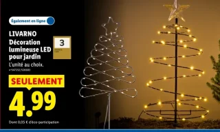 LIVARNO Décoration lumineuse LED pour jardin