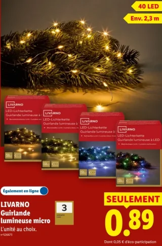 Guirlande lumineuse micro 40 LED Livarno