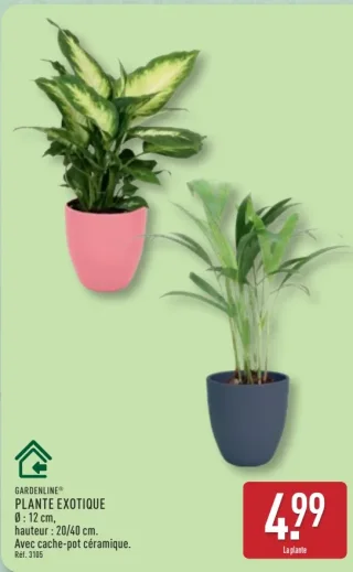 Plante exotique GARDENLINE®