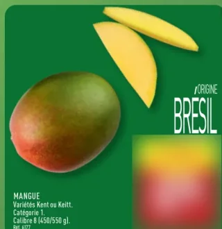 Mangue (Variétés Kent ou Keitt)