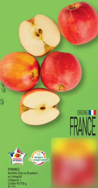 Pommes (Variétés Gala ou Braeburn ou Jonagold)