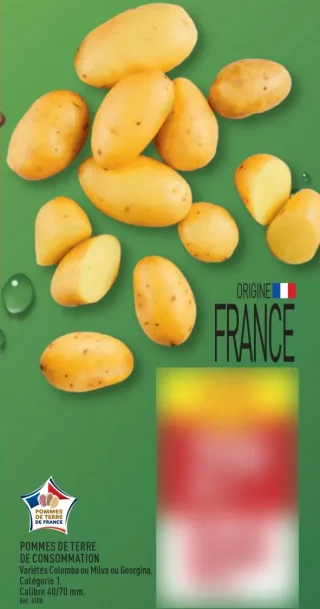 Pommes de terre de consommation