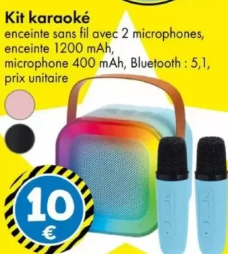 Kit karaoké enceinte sans fil avec 2 microphones