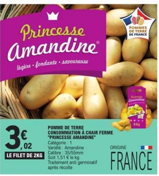 Pomme de terre consommation à chair ferme Princesse Amandine
