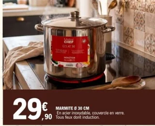 Marmite Ø 30 cm Maître CHEF