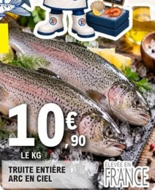 Truite entière arc en ciel