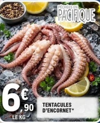 Tentacules d'encornet