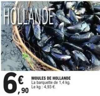 Moules de Hollande