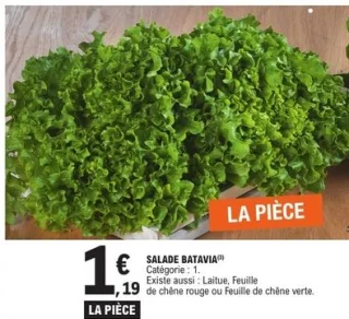 Salade Batavia Porchet