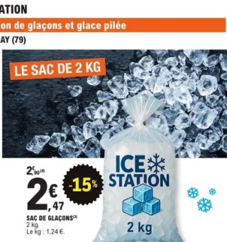 Sac de glaçons Ice Station