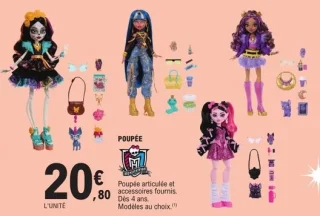 Poupée Monster High avec accessoires