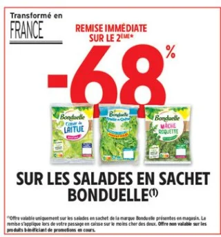 Salades en sachet Bonduelle