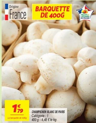 Champignon blanc de Paris Origine France