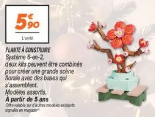 Plante à construire