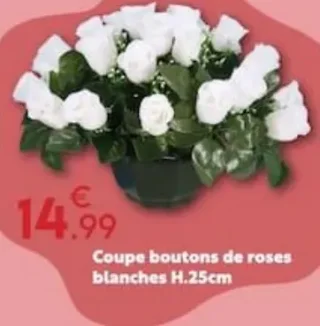 Coupe boutons de roses blanches H.25cm