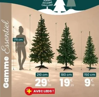 Sapin Gamme Essentiel