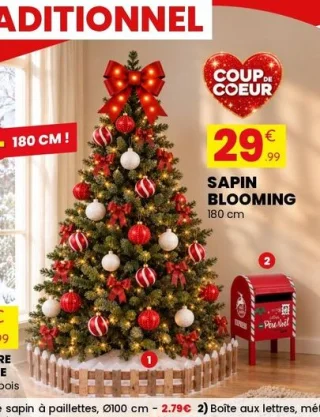 Sapin Blooming
