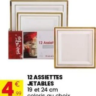 12 assiettes jetables