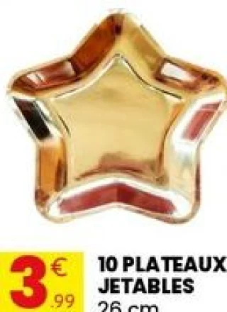 10 plateaux jetables